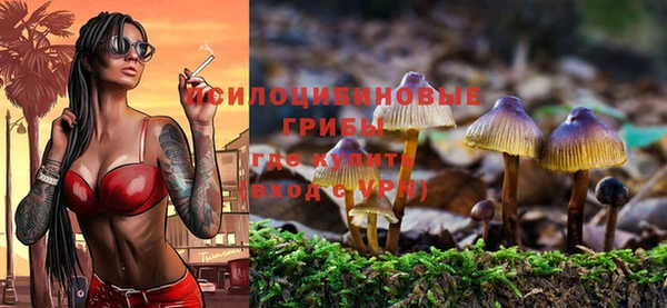 mix Богородицк
