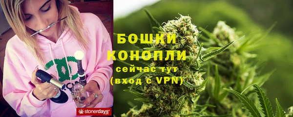Альфа ПВП Богородск